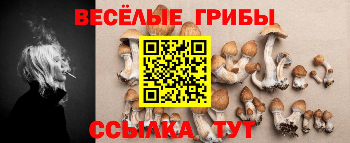 Галлюциногенные грибы прущие грибы  Псилоцибиновые грибы Psilocybe  даркнет сайт  Зеленокумск  Вход с VPN 